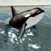 couverture jeu vidéo Orca Whale Simulator