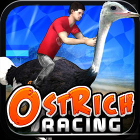 couverture jeu vidéo Ostrich Racing Simulator