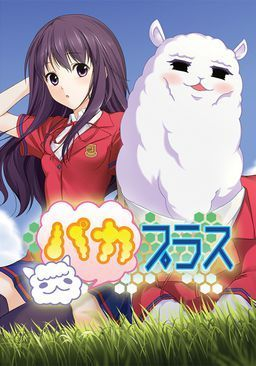 couverture jeu vidéo Paca Plus