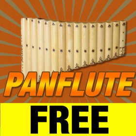 couverture jeu vidéo Panflute Master