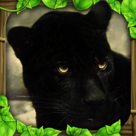 couverture jeu vidéo Panther Simulator