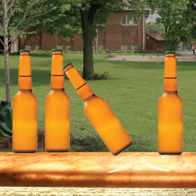 couverture jeu vidéo Park Bottle Juggler