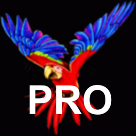 couverture jeu vidéo Parrot P.r.o. Lite