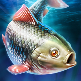 couverture jeu vidéo Partie de pêche