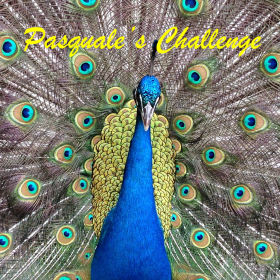 couverture jeu vidéo Pasquale's Challenge