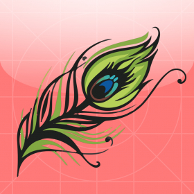 couverture jeu vidéo Peacock Darts - Pin the Bird