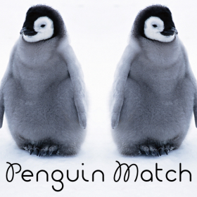 couverture jeu vidéo Penguin Match