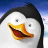 couverture jeu vidéo PenguRescue