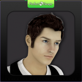 couverture jeu vidéo PerfectEsc3