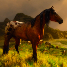 couverture jeu vidéo Pet Pony Run