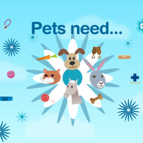 couverture jeu vidéo Pets Need Game