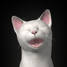 couverture jeu vidéo Piano Cats Free