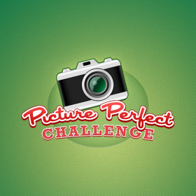 couverture jeu vidéo Picture Perfect Challenge