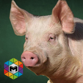couverture jeu vidéo Pig Simulator