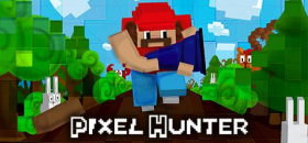 couverture jeu vidéo Pixel Hunter