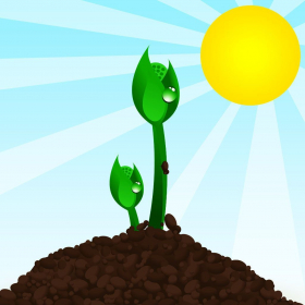 couverture jeu vidéo Planting Fun