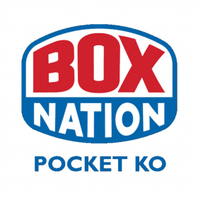 couverture jeu vidéo Pocket KO