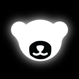 couverture jeu vidéo Polar Cub