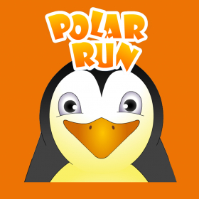 couverture jeu vidéo Polar Run