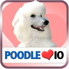 couverture jeu vidéo Poodle IO