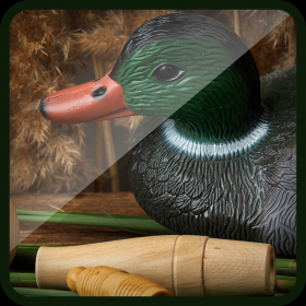couverture jeu vidéo Prise de vue en 3D Duck Hunting pistolet Juggle jeu gratuitement