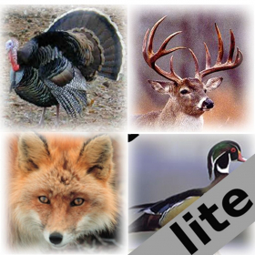 couverture jeu vidéo Pro Animal Calls lite
