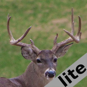 couverture jeu vidéo Pro Deer Calls lite