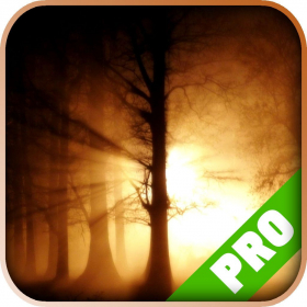 couverture jeu vidéo Pro Game - Slender: The Arrival - Game Guide Version