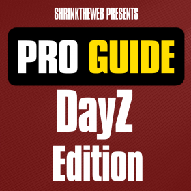 couverture jeu vidéo Pro Guide - DayZ Edition