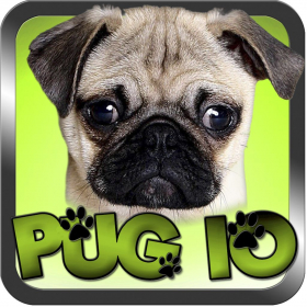 couverture jeu vidéo Pug IO