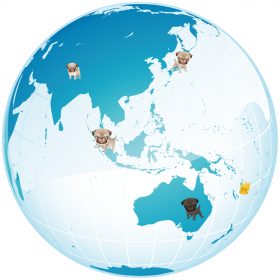 couverture jeu vidéo PugsMap