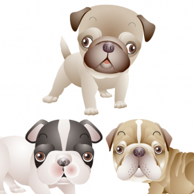 couverture jeu vidéo PugsTouch