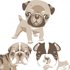 couverture jeu vidéo PugsTouch2
