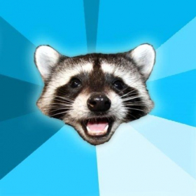 couverture jeu vidéo Pun Raccoon