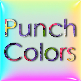couverture jeu vidéo Punch Colors