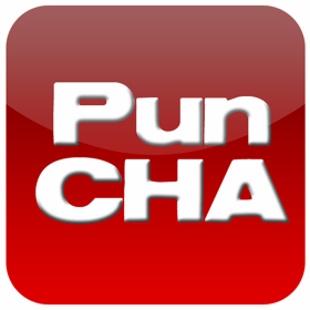 couverture jeu vidéo PunCHA