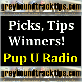 couverture jeu vidéo Pup U Radio