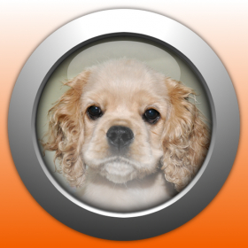 couverture jeu vidéo Puppy Dog Tap