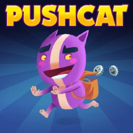 couverture jeu vidéo Pushcat