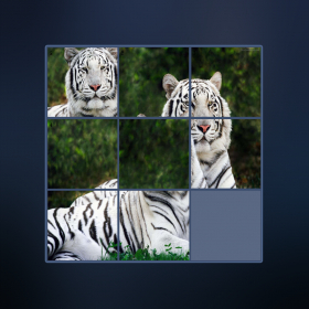 couverture jeu vidéo Puzzle Animal In Watch