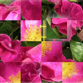 couverture jeu vidéo Puzzle Foto Slide