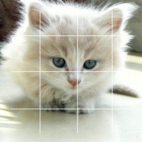 couverture jeu vidéo puzzles+ Cat