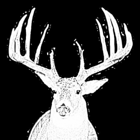 couverture jeu vidéo Qwik Hunting Calls & Sounds
