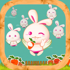couverture jeu vidéo Rabbit Find Carrots