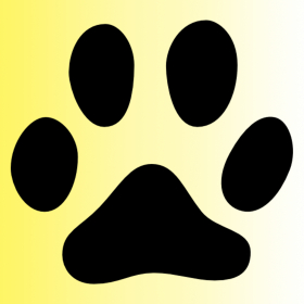 couverture jeu vidéo Racecat Free