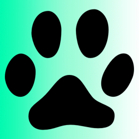 couverture jeu vidéo Racecat Premium