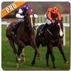couverture jeu vidéo Racing Horse Jump 2016 Pro