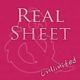 couverture jeu vidéo Real Sheet Unlimited: D&amp;D 3.0 Edition