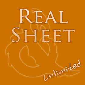 couverture jeu vidéo Real Sheet Unlimited: D&D 3.5 Edition