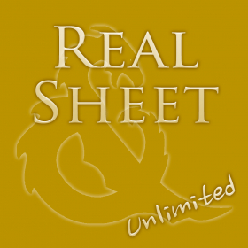 couverture jeu vidéo Real Sheet Unlimited: D&D 4th Edition